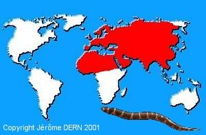 R&eacute;partition g&eacute;ographique des Cobitid&eacute;s