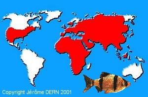 R&eacute;partition g&eacute;ographique des Cyprinid&eacute;s