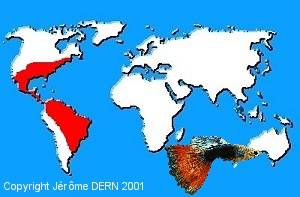 R&eacute;partition g&eacute;ographique des Poeciliid&eacute;s